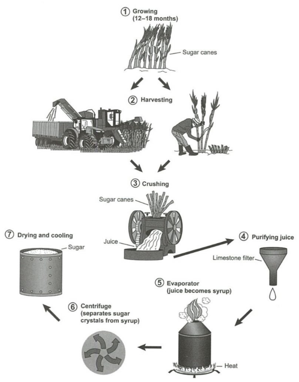 task-1-1124-1png